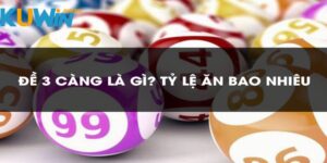 Lô 3 càng kuwin