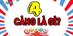 Lô 4 Càng Kuwin